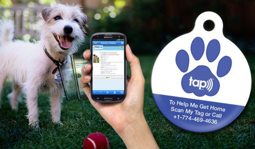 use nfc dog tag.jpg use nfc dog tag.jpg